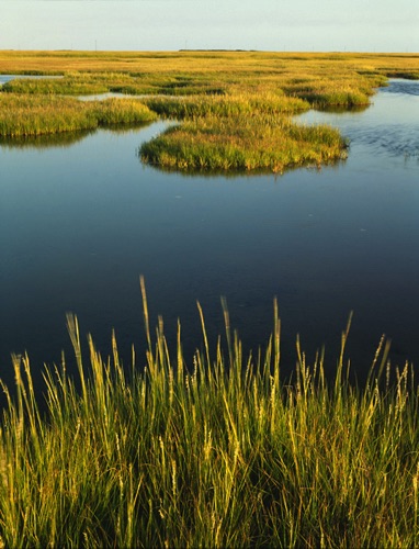 Great Bay, Atlantic County, NJ (MF).jpg Great Bay, Atlantic County, NJ (MF).jpg